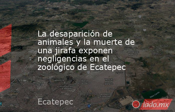 La desaparición de animales y la muerte de una jirafa exponen negligencias en el zoológico de Ecatepec. Noticias en tiempo real