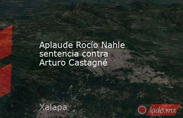 Aplaude Rocío Nahle sentencia contra Arturo Castagné. Noticias en tiempo real
