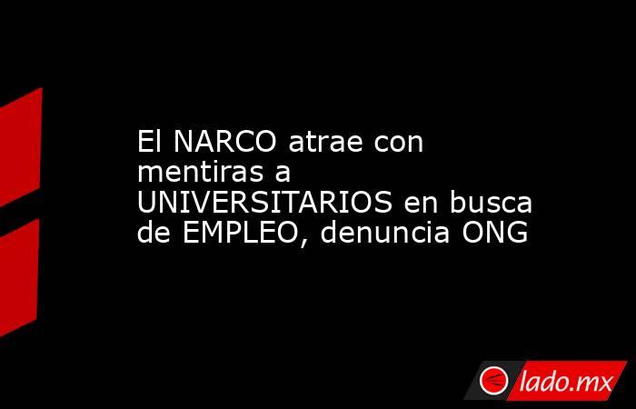 El NARCO atrae con mentiras a UNIVERSITARIOS en busca de EMPLEO, denuncia ONG. Noticias en tiempo real