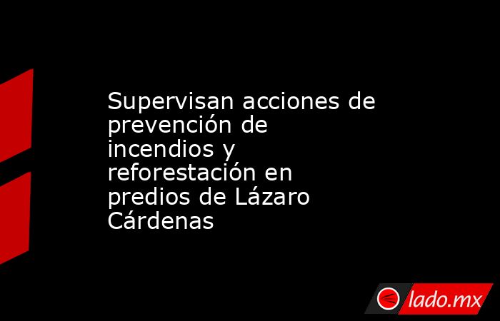 Supervisan acciones de prevención de incendios y reforestación en predios de Lázaro Cárdenas. Noticias en tiempo real