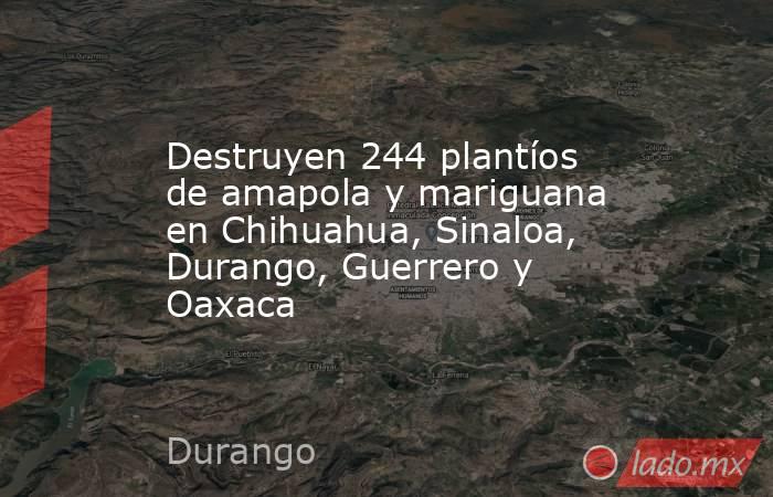 Destruyen 244 plantíos de amapola y mariguana en Chihuahua, Sinaloa, Durango, Guerrero y Oaxaca. Noticias en tiempo real