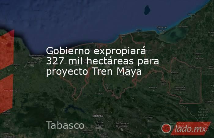 Gobierno expropiará 327 mil hectáreas para proyecto Tren Maya. Noticias en tiempo real