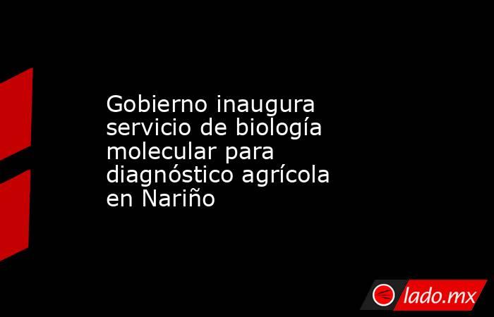 Gobierno inaugura servicio de biología molecular para diagnóstico agrícola en Nariño. Noticias en tiempo real