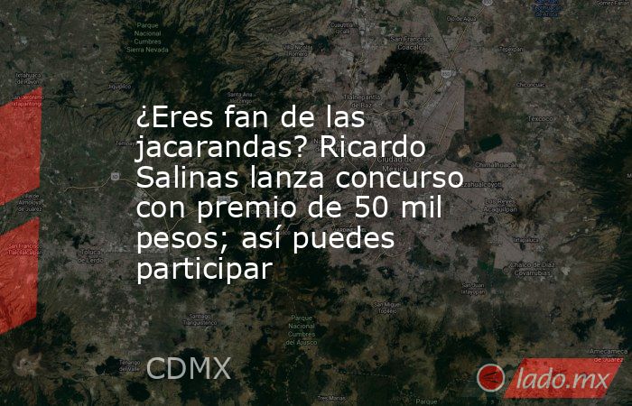 ¿Eres fan de las jacarandas? Ricardo Salinas lanza concurso con premio de 50 mil pesos; así puedes participar. Noticias en tiempo real
