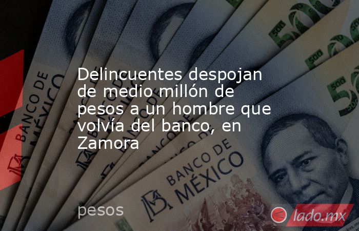 Delincuentes despojan de medio millón de pesos a un hombre que volvía del banco, en Zamora. Noticias en tiempo real