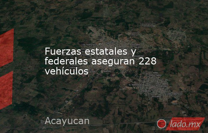 Fuerzas estatales y federales aseguran 228 vehículos. Noticias en tiempo real