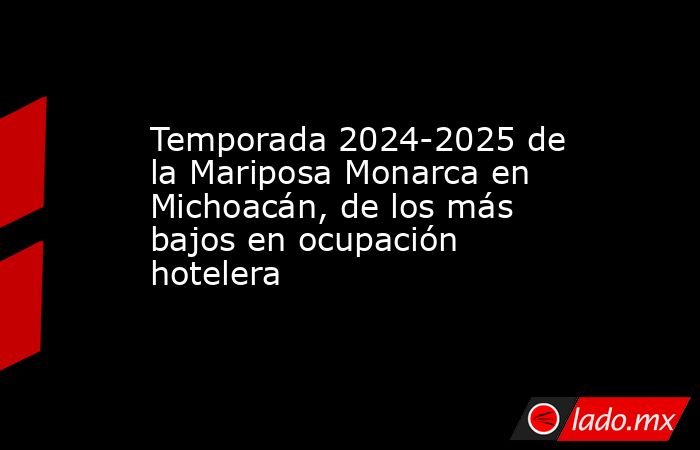 Temporada 2024-2025 de la Mariposa Monarca en Michoacán, de los más bajos en ocupación hotelera. Noticias en tiempo real