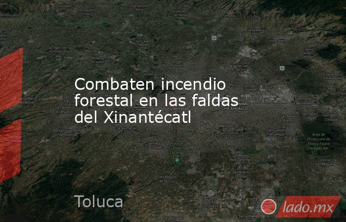 Combaten incendio forestal en las faldas del Xinantécatl. Noticias en tiempo real