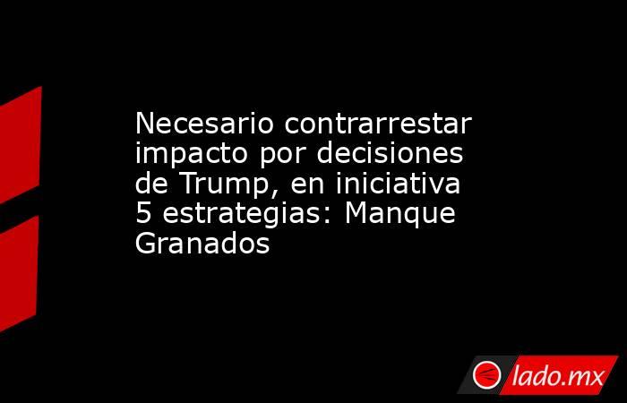 Necesario contrarrestar impacto por decisiones de Trump, en iniciativa 5 estrategias: Manque Granados. Noticias en tiempo real