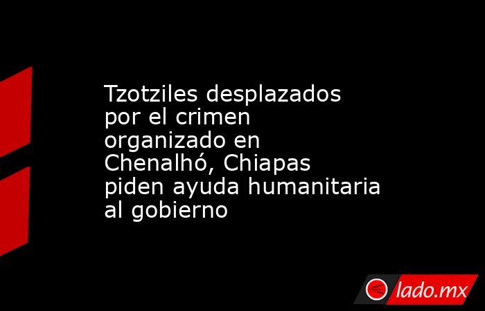 Tzotziles desplazados por el crimen organizado en Chenalhó, Chiapas piden ayuda humanitaria al gobierno. Noticias en tiempo real