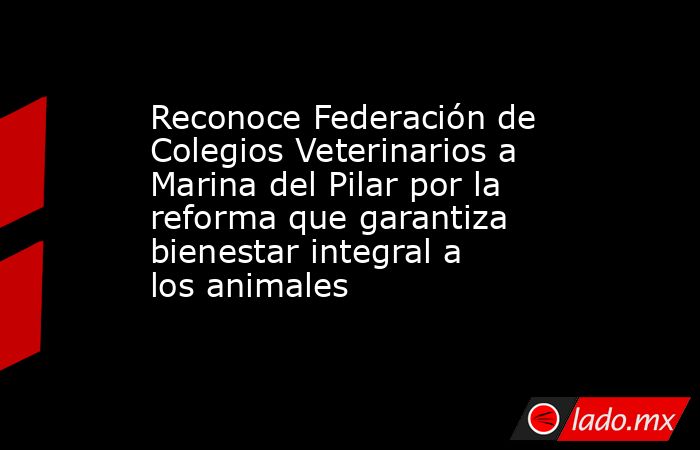 Reconoce Federación de Colegios Veterinarios a Marina del Pilar por la reforma que garantiza bienestar integral a los animales. Noticias en tiempo real