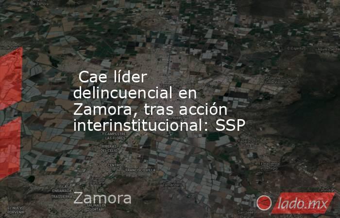  Cae líder delincuencial en Zamora, tras acción interinstitucional: SSP. Noticias en tiempo real