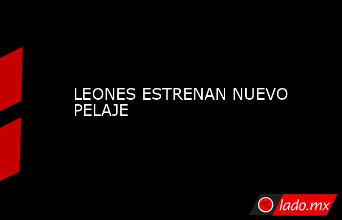 LEONES ESTRENAN NUEVO PELAJE. Noticias en tiempo real