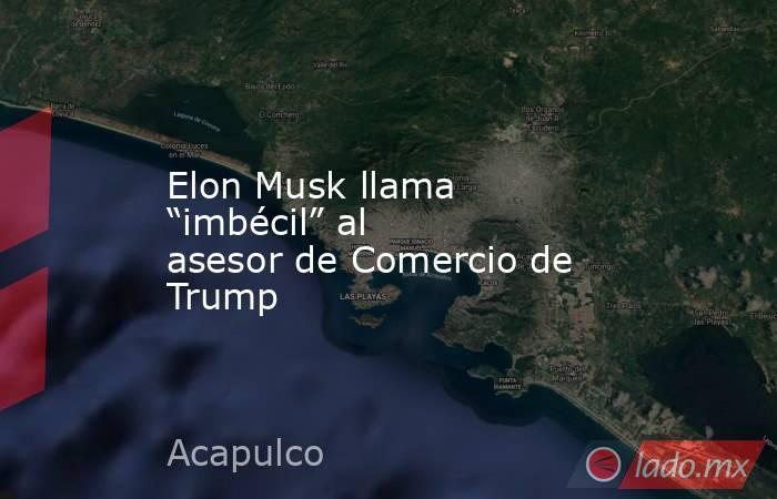 Elon Musk llama “imbécil” al asesor de Comercio de Trump. Noticias en tiempo real