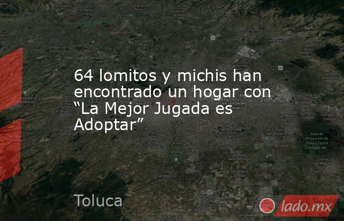 64 lomitos y michis han encontrado un hogar con “La Mejor Jugada es Adoptar”. Noticias en tiempo real