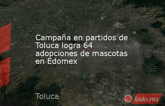Campaña en partidos de Toluca logra 64 adopciones de mascotas en Edomex. Noticias en tiempo real