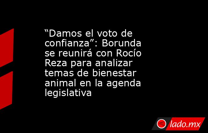 “Damos el voto de confianza”: Borunda se reunirá con Rocío Reza para analizar temas de bienestar animal en la agenda legislativa. Noticias en tiempo real