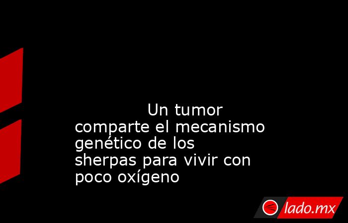                                                                                                                                                              Un tumor comparte el mecanismo genético de los sherpas para vivir con poco oxígeno                . Noticias en tiempo real