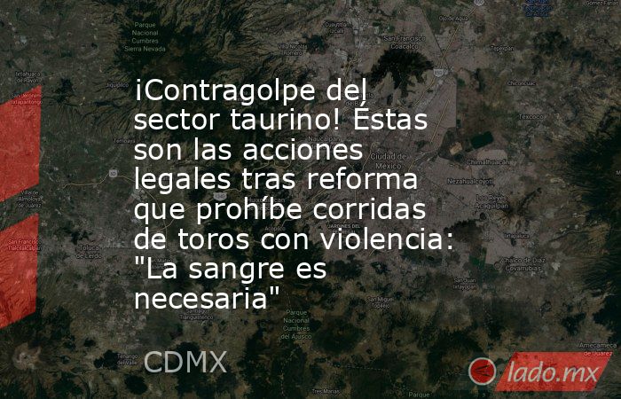 ¡Contragolpe del sector taurino! Éstas son las acciones legales tras reforma que prohíbe corridas de toros con violencia: 