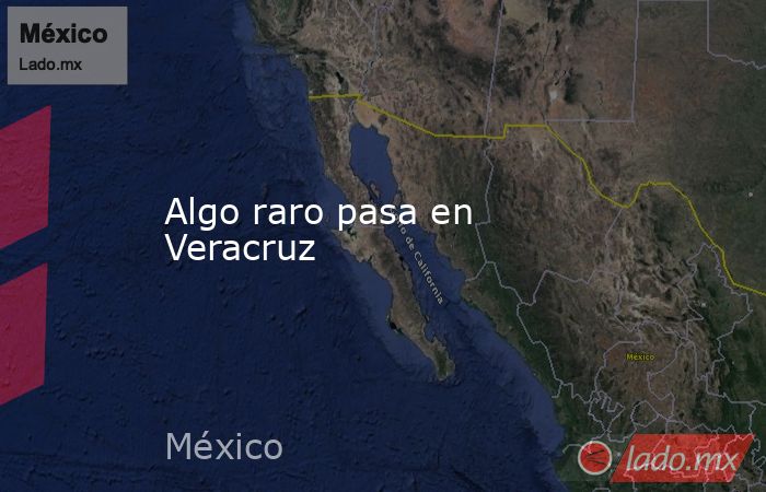 Algo raro pasa en Veracruz. Noticias en tiempo real