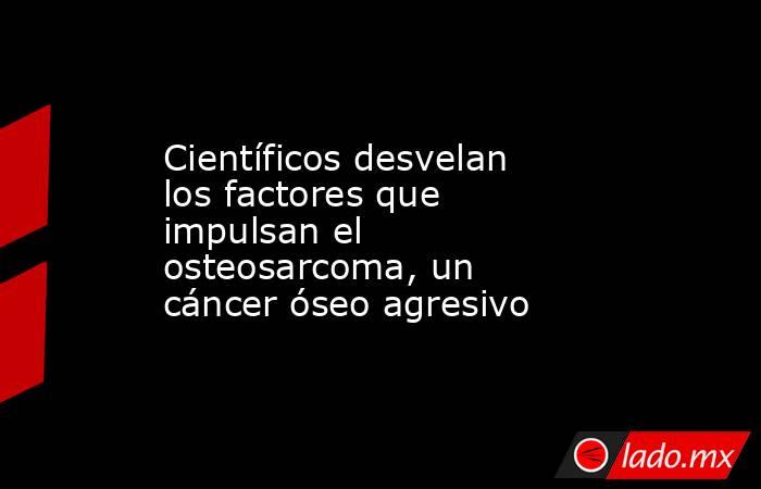 Científicos desvelan los factores que impulsan el osteosarcoma, un cáncer óseo agresivo. Noticias en tiempo real