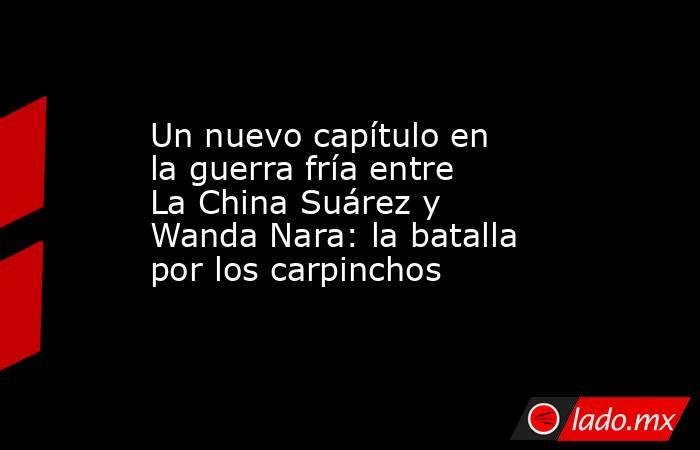 Un nuevo capítulo en la guerra fría entre La China Suárez y Wanda Nara: la batalla por los carpinchos. Noticias en tiempo real