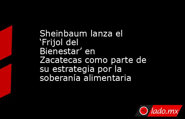 Sheinbaum lanza el ‘Frijol del Bienestar’ en Zacatecas como parte de su estrategia por la soberanía alimentaria. Noticias en tiempo real