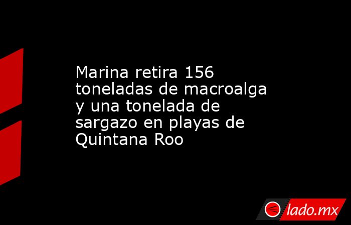 Marina retira 156 toneladas de macroalga y una tonelada de sargazo en playas de Quintana Roo. Noticias en tiempo real