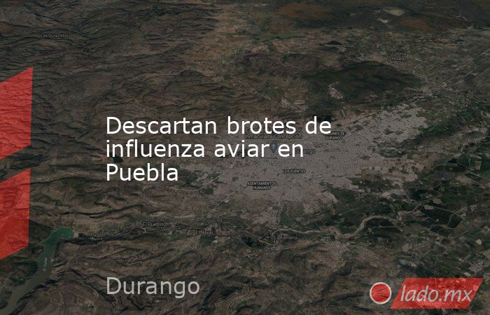 Descartan brotes de influenza aviar en Puebla. Noticias en tiempo real