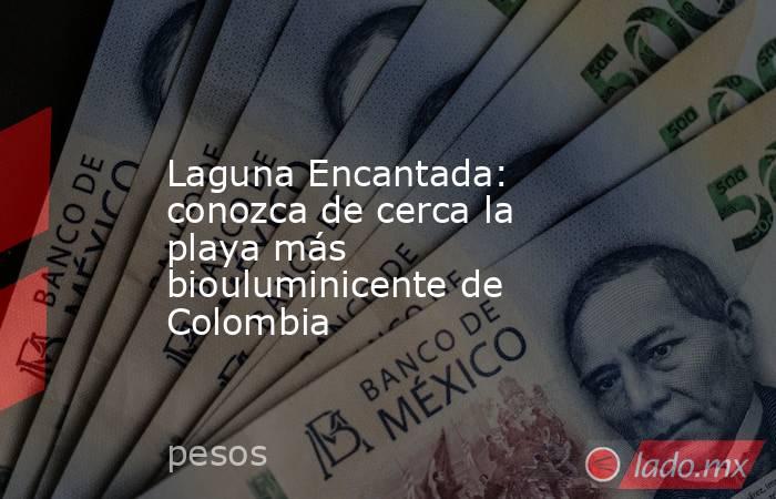Laguna Encantada: conozca de cerca la playa más biouluminicente de Colombia. Noticias en tiempo real