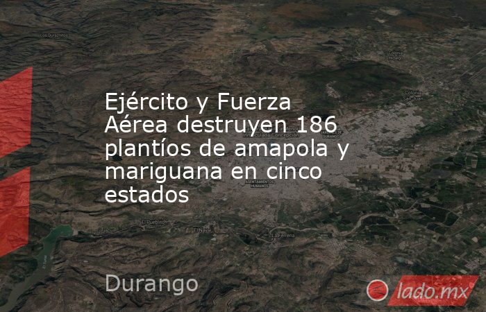 Ejército y Fuerza Aérea destruyen 186 plantíos de amapola y mariguana en cinco estados. Noticias en tiempo real
