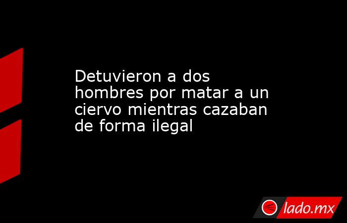 Detuvieron a dos hombres por matar a un ciervo mientras cazaban de forma ilegal . Noticias en tiempo real
