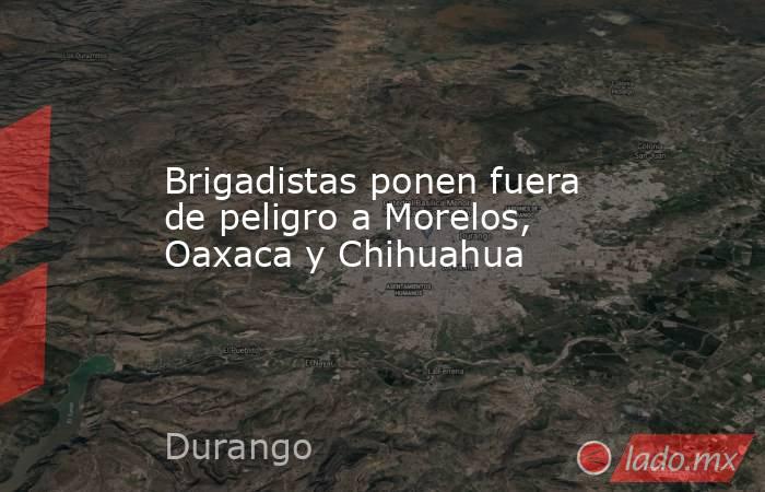 Brigadistas ponen fuera de peligro a Morelos, Oaxaca y Chihuahua. Noticias en tiempo real