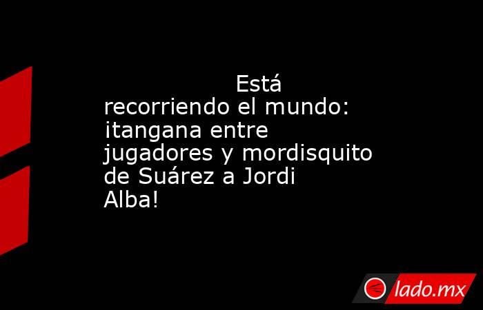                  Está recorriendo el mundo: ¡tangana entre jugadores y mordisquito de Suárez a Jordi Alba!             . Noticias en tiempo real