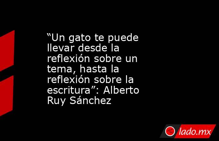 “Un gato te puede llevar desde la reflexión sobre un tema, hasta la reflexión sobre la escritura”: Alberto Ruy Sánchez. Noticias en tiempo real