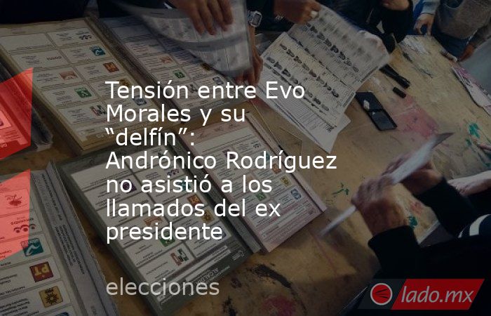 Tensión entre Evo Morales y su “delfín”: Andrónico Rodríguez no asistió a los llamados del ex presidente. Noticias en tiempo real