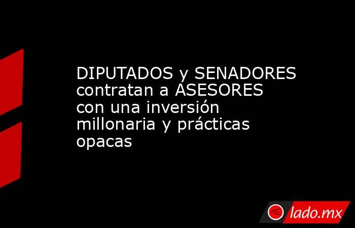 DIPUTADOS y SENADORES contratan a ASESORES con una inversión millonaria y prácticas opacas. Noticias en tiempo real