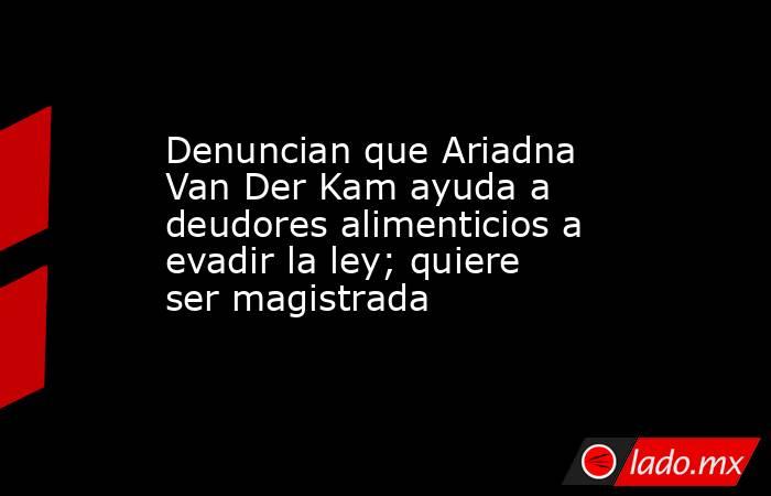 Denuncian que Ariadna Van Der Kam ayuda a deudores alimenticios a evadir la ley; quiere ser magistrada. Noticias en tiempo real