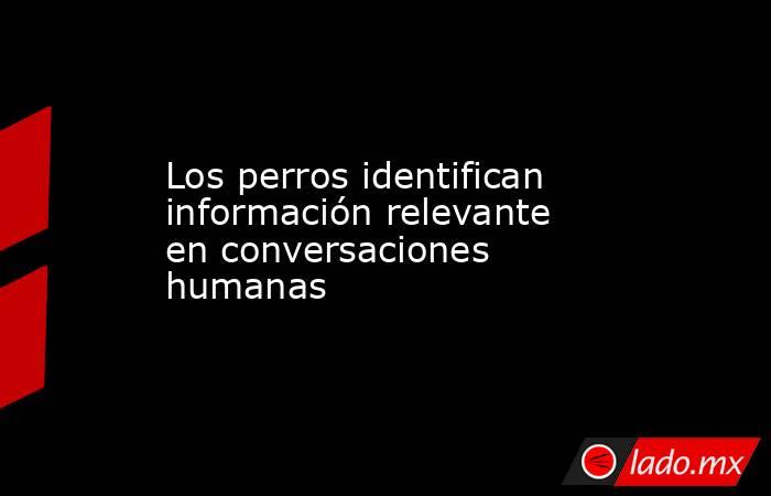 Los perros identifican información relevante en conversaciones humanas. Noticias en tiempo real