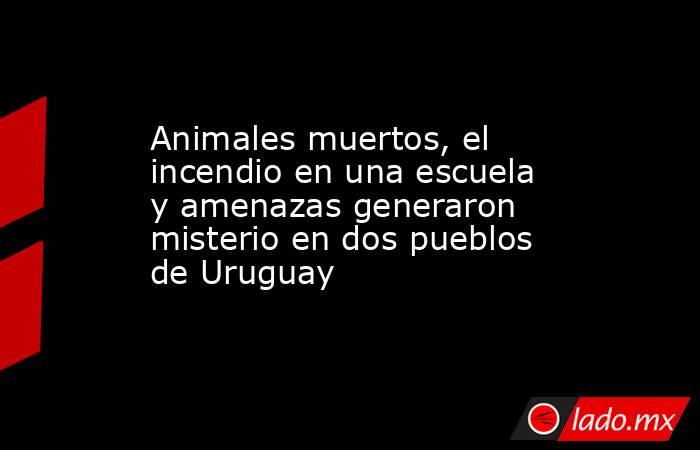 Animales muertos, el incendio en una escuela y amenazas generaron misterio en dos pueblos de Uruguay. Noticias en tiempo real