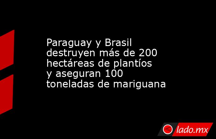 Paraguay y Brasil destruyen más de 200 hectáreas de plantíos y aseguran 100 toneladas de mariguana. Noticias en tiempo real