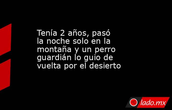 Tenía 2 años, pasó la noche solo en la montaña y un perro guardián lo guio de vuelta por el desierto. Noticias en tiempo real