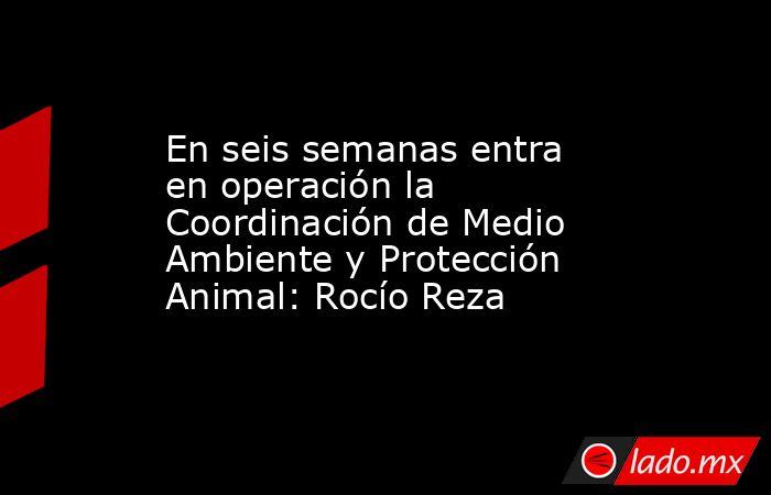 En seis semanas entra en operación la Coordinación de Medio Ambiente y Protección Animal: Rocío Reza. Noticias en tiempo real
