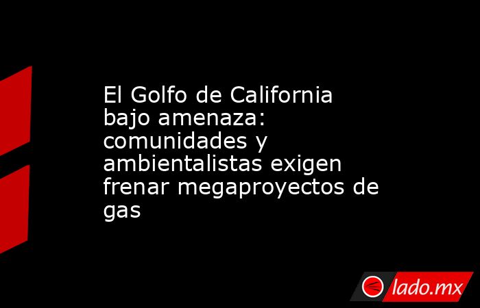 El Golfo de California bajo amenaza: comunidades y ambientalistas exigen frenar megaproyectos de gas. Noticias en tiempo real