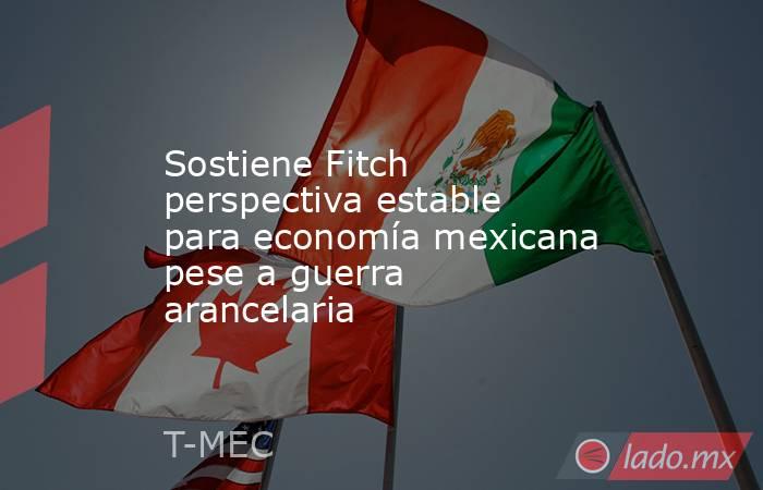Sostiene Fitch perspectiva estable para economía mexicana pese a guerra arancelaria. Noticias en tiempo real