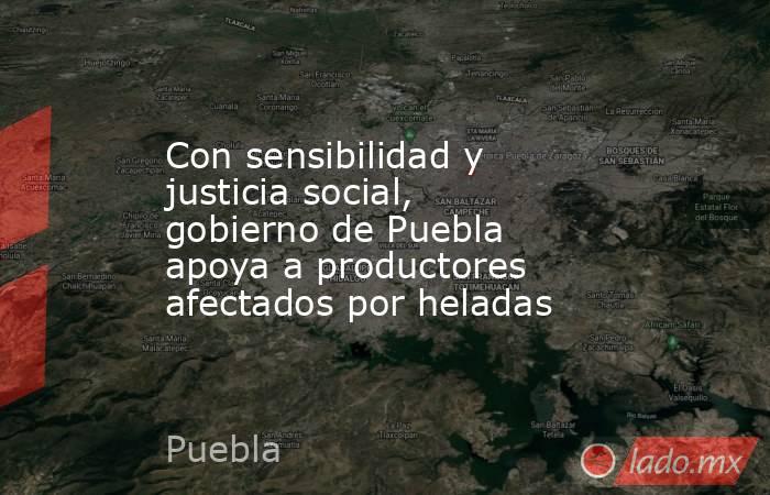 Con sensibilidad y justicia social, gobierno de Puebla apoya a productores afectados por heladas. Noticias en tiempo real
