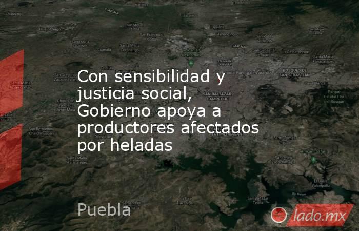 Con sensibilidad y justicia social, Gobierno apoya a productores afectados por heladas. Noticias en tiempo real