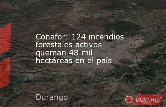 Conafor: 124 incendios forestales activos queman 48 mil hectáreas en el país. Noticias en tiempo real