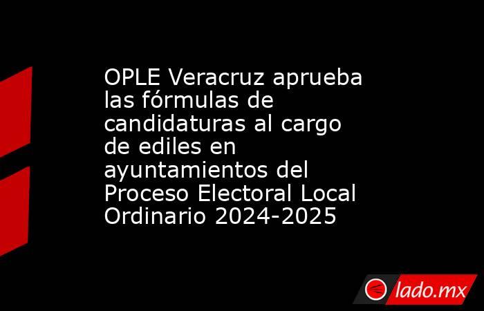 OPLE Veracruz aprueba las fórmulas de candidaturas al cargo de ediles en ayuntamientos del Proceso Electoral Local Ordinario 2024-2025. Noticias en tiempo real