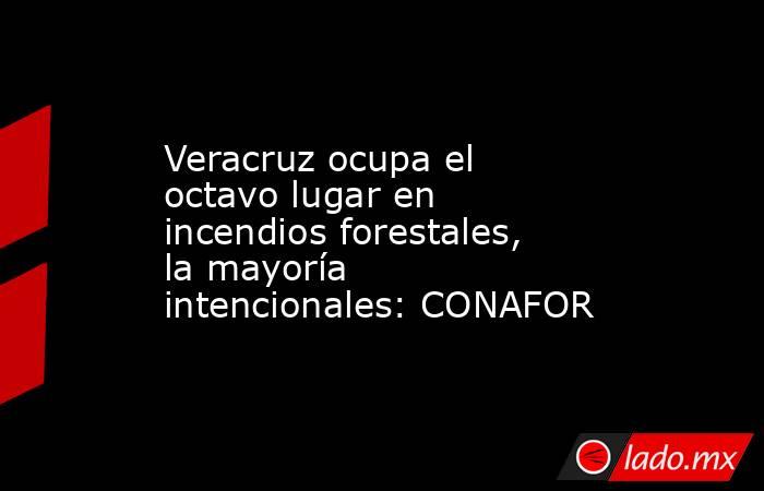 Veracruz ocupa el octavo lugar en incendios forestales, la mayoría intencionales: CONAFOR. Noticias en tiempo real